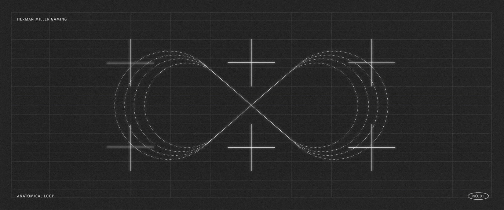 Wetenschappelijke afbeelding van een anatomische lus - een acht op zijn kant