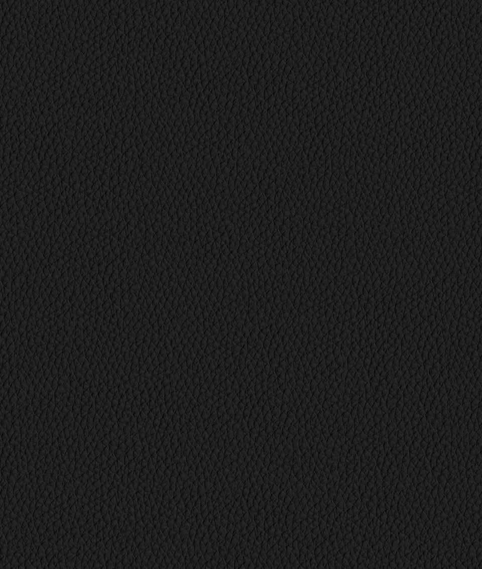 Asari Raven/Zwart leer High Back-stoel