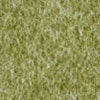 colour_Pesto